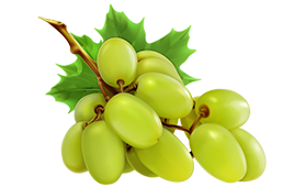 grapes